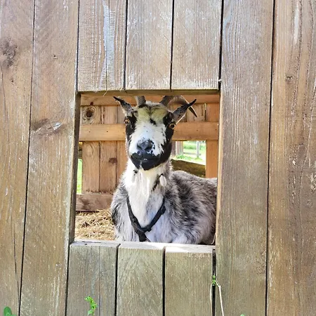 Gasthof Le Paradis Des Animaux