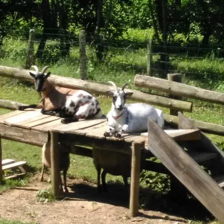 Gasthof Le Paradis Des Animaux