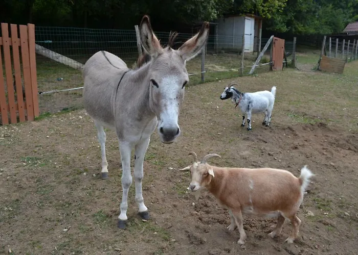 Le Paradis Des Animaux 3* Coublevie