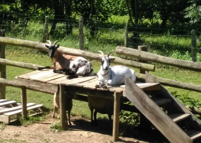 Pensión Le Paradis Des Animaux