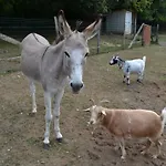 Le Paradis Des Animaux 3* Coublevie