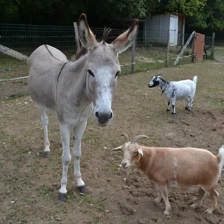 Le Paradis Des Animaux 3* Coublevie